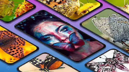 Play Butterfly wallpaper background  and enjoy Butterfly wallpaper background with UptoPlay
