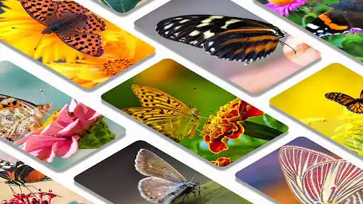Play Butterfly wallpaper background as an online game Butterfly wallpaper background with UptoPlay