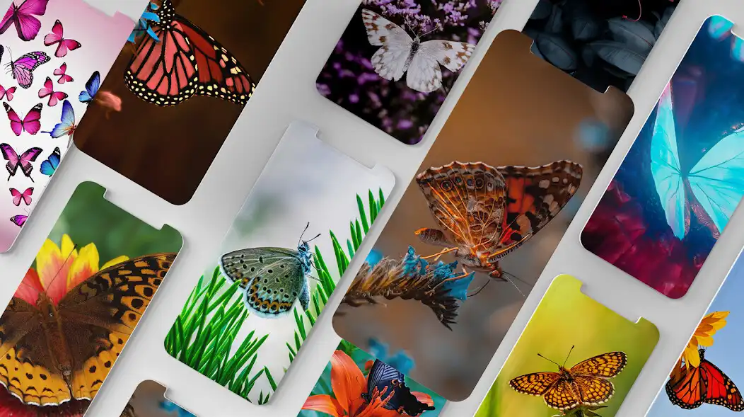 Play Butterfly Wallpapers 4K/HD and enjoy Butterfly Wallpapers 4K/HD with UptoPlay Play Butterfly Wallpapers 4K/HD and enjoy Butterfly Wallpapers 4K/HD with UptoPlay