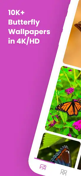 Play Butterfly Wallpapers 4K/HD as an online game online Butterfly Wallpapers 4K/HD with UptoPlay Play Butterfly Wallpapers 4K/HD as an online game Butterfly Wallpapers 4K/HD with UptoPlay