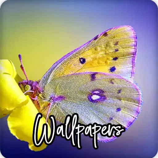 Free play online Butterfly Wallpapers HD APK Free play online Butterfly Wallpapers HD APK