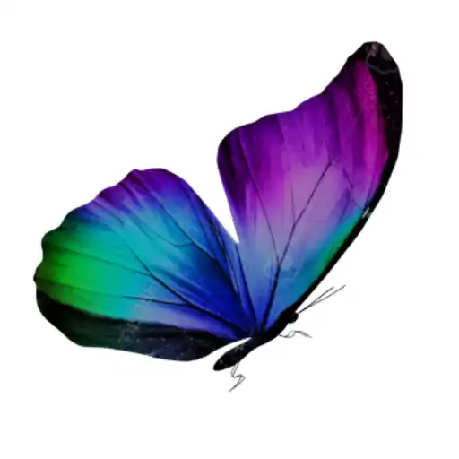 Play Butterfly : Way Through Sky APK
