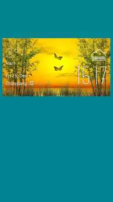 Play Butterfly weather widget/clock
