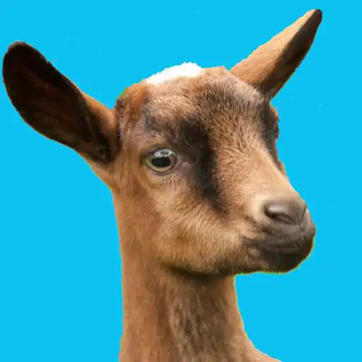 Play Buttermilk - The Bouncing Goat APK