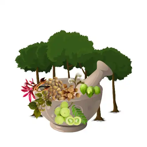 Play Butting Forestry Science APK