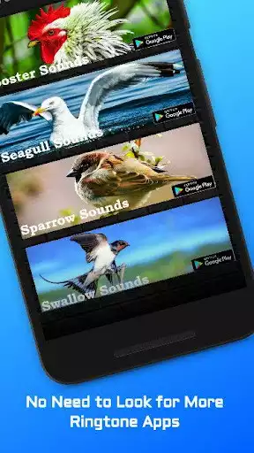 Play Buttonquail Sounds as an online game Buttonquail Sounds with UptoPlay