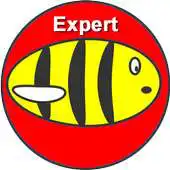 Free play online Buzzy Bee Expert APK