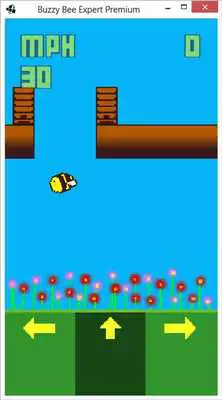 Play Buzzy Bee Expert