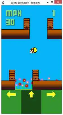 Play Buzzy Bee Expert