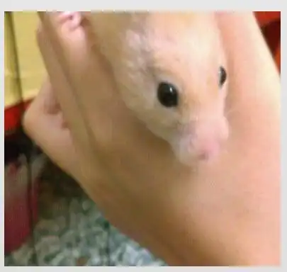 Play 黃金大老鼠的奇幻旅程_by_student_tku14 as an online game 黃金大老鼠的奇幻旅程_by_student_tku14 with UptoPlay