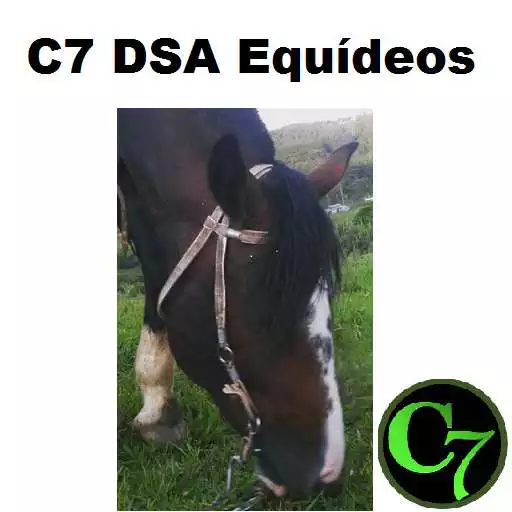Free play online C7 DSA Equideos APK Free play online C7 DSA Equideos APK