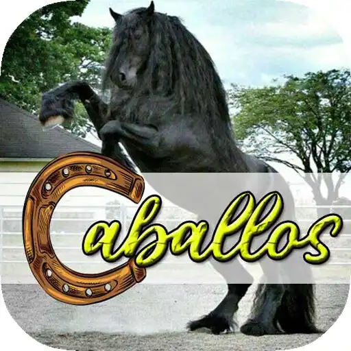 Play Caballos Wallpapers APK Play Caballos Wallpapers APK