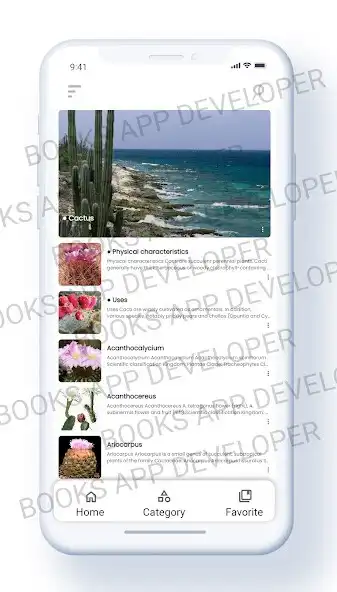 Play Cactus Books and enjoy Cactus Books with UptoPlay Play Cactus Books and enjoy Cactus Books with UptoPlay