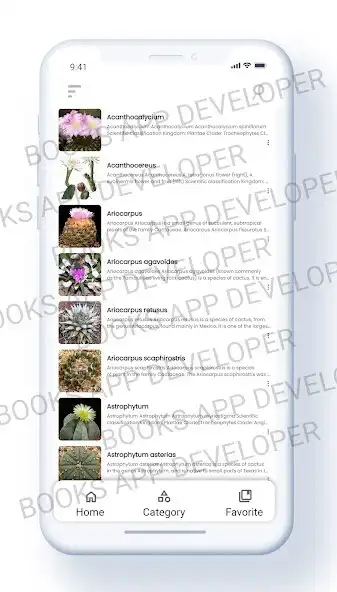 Play Cactus Books as an online game online Cactus Books with UptoPlay Play Cactus Books as an online game Cactus Books with UptoPlay