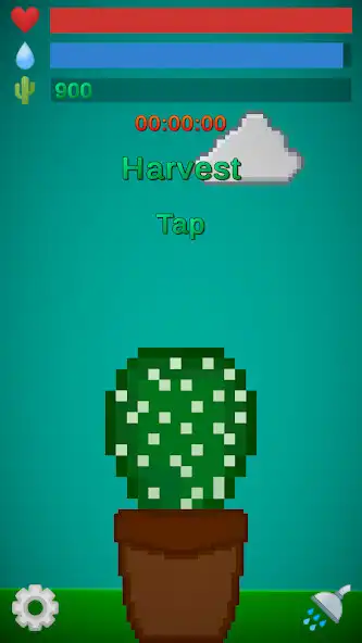 Play Cactus Care  and enjoy Cactus Care with UptoPlay