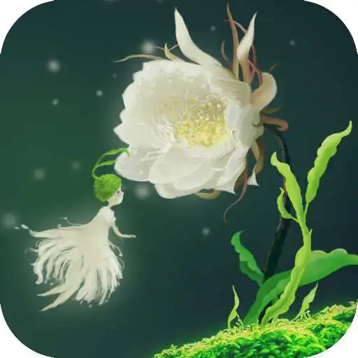 Play Cactus Flower Live Wallpaper APK Play Cactus Flower Live Wallpaper APK
