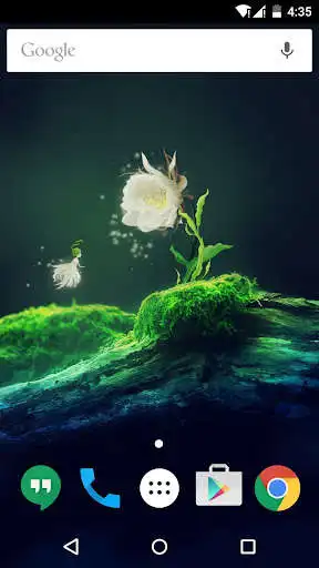 Play Cactus Flower Live Wallpaper  and enjoy Cactus Flower Live Wallpaper with UptoPlay