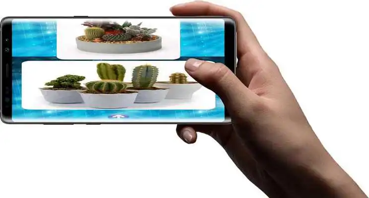 Play Cactus Plant Design