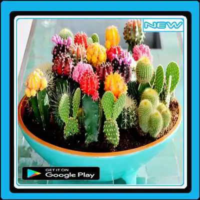Play Cactus Plant Design