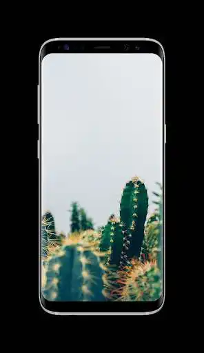 Play Cactus Wallpaper HD and enjoy Cactus Wallpaper HD with UptoPlay Play Cactus Wallpaper HD and enjoy Cactus Wallpaper HD with UptoPlay
