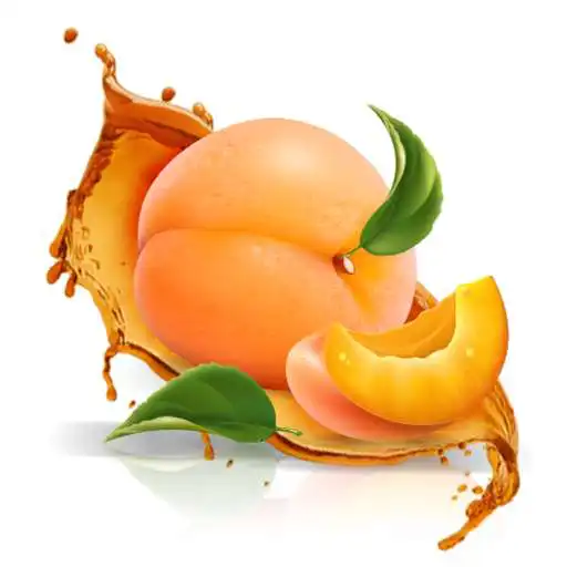 Free play online Cafe Apricot APK