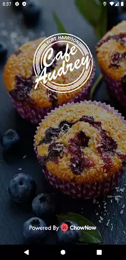 Play Cafe Audrey  and enjoy Cafe Audrey with UptoPlay