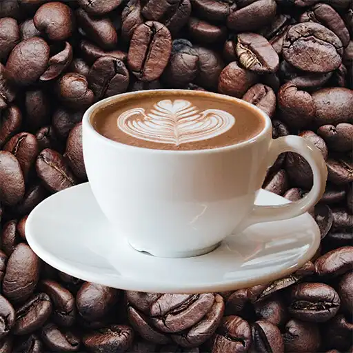 Play Cafe sounds APK