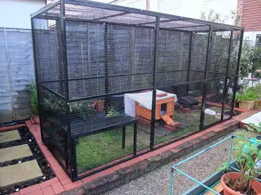 Play APK Cages Animal Ideas  and enjoy Cages Animal Ideas with UptoPlay com.wallp.cage_animal