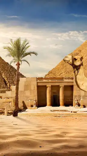 Play Cairo Wallpaper and enjoy Cairo Wallpaper with UptoPlay Play Cairo Wallpaper and enjoy Cairo Wallpaper with UptoPlay