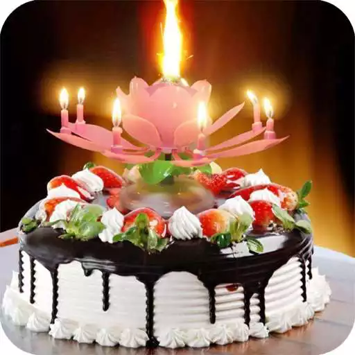 Play Cake Wallpaper APK