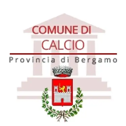Play Calcio InApp APK Play Calcio InApp APK