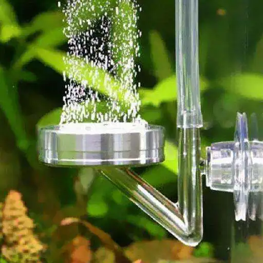 Play Calcolatore Co2 Acquario APK