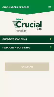 Play Calculadora Crucial