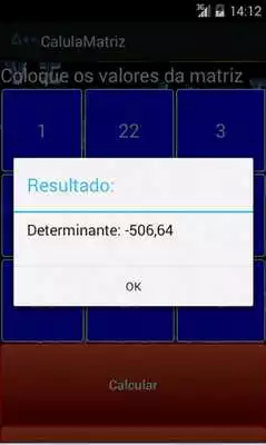 Play Calculate Determinant Matrix