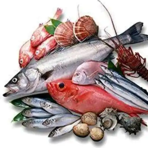 Play Calcutta Big fish APK