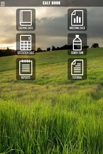 Play Calf Book  and enjoy Calf Book with UptoPlay