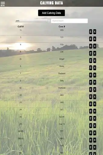 Play Calf Book as an online game Calf Book with UptoPlay