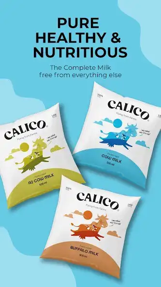 Play Calico Milk  and enjoy Calico Milk with UptoPlay