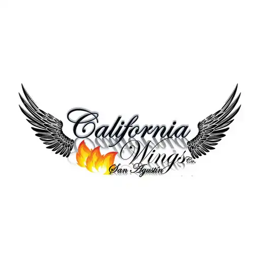 Play California Wings APK