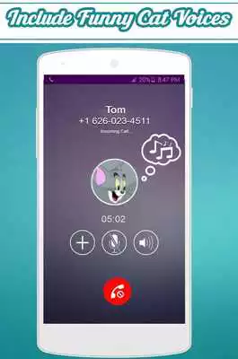 Play Call From Tom Cat Play Call From Tom Cat