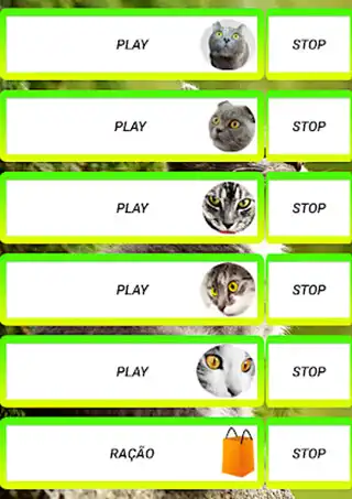 Play calling cat  and enjoy calling cat with UptoPlay