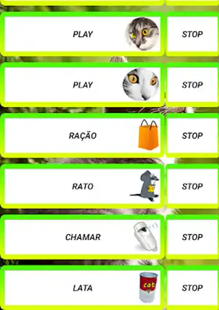 Play calling cat as an online game calling cat with UptoPlay