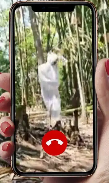 Play Call Pocong Kuntilanak Lucu as an online game Call Pocong Kuntilanak Lucu with UptoPlay