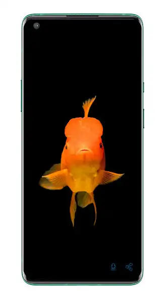 Play calming sea music as an online game calming sea music with UptoPlay