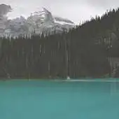 Free play online Calm lake Atom theme APK