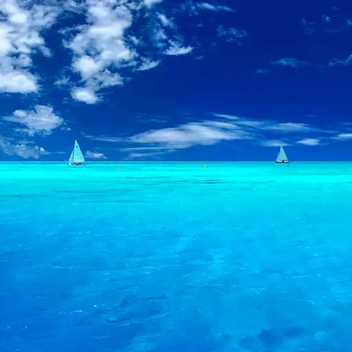 Play Calm Ocean Waves: Sleep Sounds APK