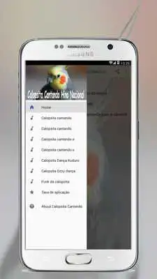 Play Calopsita Cantando Hino  Nacional