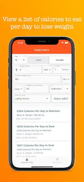 Play Caloricator as an online game Caloricator with UptoPlay
