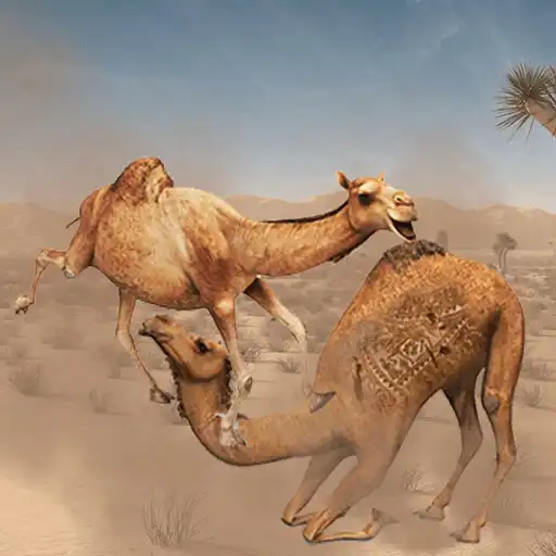 Play Camel Attack Fighting APK