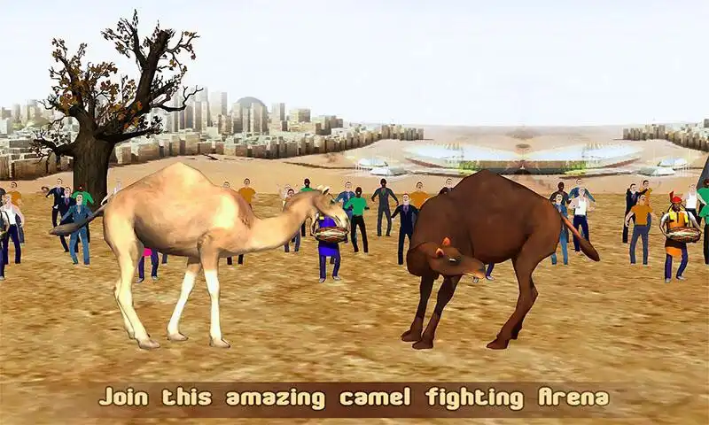 Play Camel Champion Fighting: Angry Camel Ring Fighter  and enjoy Camel Champion Fighting: Angry Camel Ring Fighter with UptoPlay